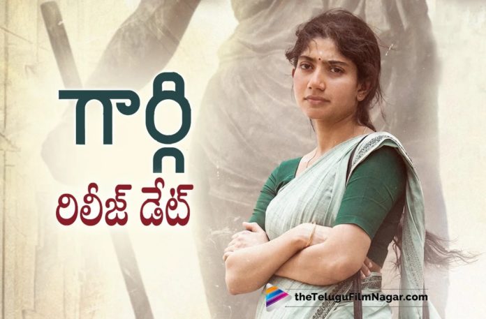 Sai Pallavi’s Gargi Movie Release Date Locked,Telugu Filmnagar,Latest Telugu Movies News,Telugu Film News 2022,Tollywood Movie Updates,Tollywood Latest News, Gargi Movie Sai Pallavi,Telugu Filmnagar,Latest Telugu Movies News,Telugu Film News 2022,Tollywood Movie Updates,Tollywood Latest News, Gargi,Gargi Movie,Gargi Movie Updates,Gargi Telugu Movie,Gargi New Movie Updates,Gargi Releas Date Announced Officially, Sai Pallavi Gargi Movie,Sai Pallavi Upcoming Movies,Sai Pallavi New Movie Updates