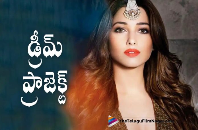 Tamannaah Bhatia Reveals Her Dream Project,Telugu Filmnagar,Latest Telugu Movies News,Telugu Film News 2022,Tollywood Movie Updates,Tollywood Latest News, Tamannaah Bhatia,Actress Tamannaah Bhatia,Tamannaah Bhatia latest updates,Tamannaah Bhatia latest Movie Updates,Tamannaah Bhatia Upcoming Movies,Tamannaah Bhatia Dream Projects, Tamannaah Bhatia Revealed Her Upcoming Dream Movie Project,Tamannaah Bhatia Next Project,Tamannaah Bhatia New Movie,Tamannaah Bhatia About Her Dream Project, Tamannaah with Chiranjeevi Bhola Shankar Movie,Tamannaah with Satya Dev Gurthunda Seethakalam Movie,Tamannaah in Babli Bouncer Movie,Tamannaah Upcoming Movie Bole Chudiyan latest Updates, Tamannaah Plan A and Plan B Webseries,Tamannaah Bollywood Movies and Webseries,Tamannaah Bhatia in Twitter,Tamannaah Bhatia Dream To act in Horror Movies