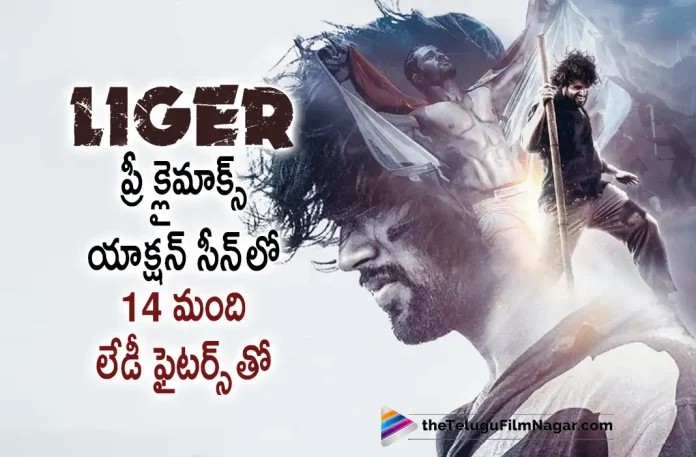 Vijay Deverakonda Liger Movie Interesting Update,Telugu Filmnagar,Latest Telugu Movies News,Telugu Film News 2022,Tollywood Movie Updates,Tollywood Latest News, Liger,Liger Movie,Liger Telugu Movie,Liger latest Movie Updates,Liger Movie Climax Fight,Vijay Deverakonda,Hero Vijay Deverakonda, Vijay Deverakonda Liger Movie Updates,Vijay Deverkonda,Vijay Deverakonda Final Climax Action Scene,Vijay Deverakonda Climax Action Scene Updates, Vijay Deverakonda Climax Action Scene With 14 Girls in Liger Movie,Vijay Deverakonda Liger Movie Interesting News