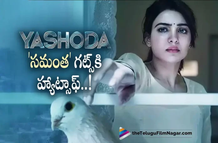 Yashoda Movie Directors Superb Words About Samantha,Telugu Filmnagar,Latest Telugu Movies News,Telugu Film News 2022,Tollywood Movie Updates,Tollywood Latest News, Yashoda,Yashoda Movie,Yashoda Movie Updates,Yashoda Telugu Movie,Yashoda New Movie Updates,Samantha Upcoming Movie Yashoda,Yashoda Movie Ddirector Hails Samantha, Yashoda Movie Director Hails Samantha,Samantha Upcoming Movie,Samantha New Movie Updates,Samantha Yashoda Movie Updates,Samantha New Movie Updates,Samantha Next Project