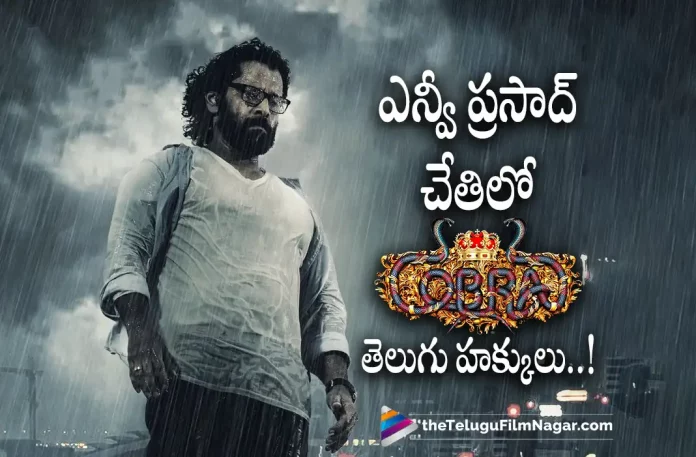 Vikram Cobra Telugu States Rights Bagged By NV Prasad,Telugu Filmnagar,Latest Telugu Movies News,Telugu Film News 2022,Tollywood Movie Updates,Tollywood Latest News, Cobra,Cobra Movie,Cobra Telugu Movie,Cobra Movie Updates,Cobra Movie Latest Updates,Cobra Upcoming movie of Vikram,Vikram,Hero Vikram Cobra Movie Updates, Cobra Telugu Movie Rights Bagged By NV Prasad,NV Prasad Bagged Vikram Cobra Telugu Movie Rights,Cobra Telugu Movie Rights,Vikram Upcoming Movies,Vikram New Movie Updates, Cobra Telugu State Rights Bagged By NV Prasad,Srinidhi Shetty And Vikram,Srinidhi Shetty Cobra Movie,Srinidhi Shetty and Vikram in Cobra Movie