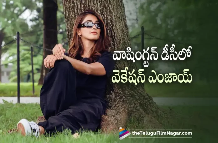 Pooja Hegde enjoying her vacation,Telugu Filmnagar,Latest Telugu Movies News,Telugu Film News 2022,Tollywood Movie Updates,Tollywood Latest News, Pooja Hegde,Actress Pooja Hegde,Pooja Hegde in washington dc,Pooja Hegde Enjoying Vacation in Washington,Pooja Hegde Upcoming Movies,Pooja Hegde New Movie Updates, Pooja Hegde Latest Movie Updates,Pooja Hegde in Washington Dc Enjoying Her Vacation,Pooja Hegde New Movie Updates,Pooja Hegde in Kabi Eid kabhi Diwali Bollywood Movie, Pooja Hegde wih Super Star Mahesh Babu in #SSMB28,Vijay Devarakonda Jana Gana Mana Moive,Pooja Hegde with Tamil Super Star Hero Suriya Upcoming Movie