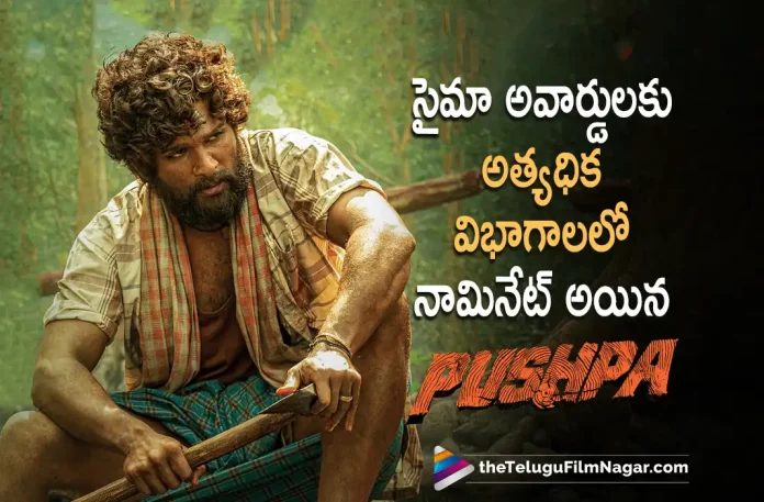 Pushpa The Rise becomes highest Nominated film for SIIMA Awards,Telugu Filmnagar,Latest Telugu Movies News,Telugu Film News 2022,Tollywood Latest,Tollywood Movie Updates,Tollywood Upcoming Movies,Pushpa The Rise,Pushpa The Rise Telugu Movie,Pushpa The Rise Movie,Pushpa The Rise Nominated For SIIMA Awards,Pushpa The Rise Movie Becomes Highest Nominated Film For SIIMA Awards,Allu Arjun,Icon Star Allu Arjun,Stylish Star Allu Arjun Pushpa Movie Becomes Highest Nominated Movie For SIIMA Awards,SIIMA Awards