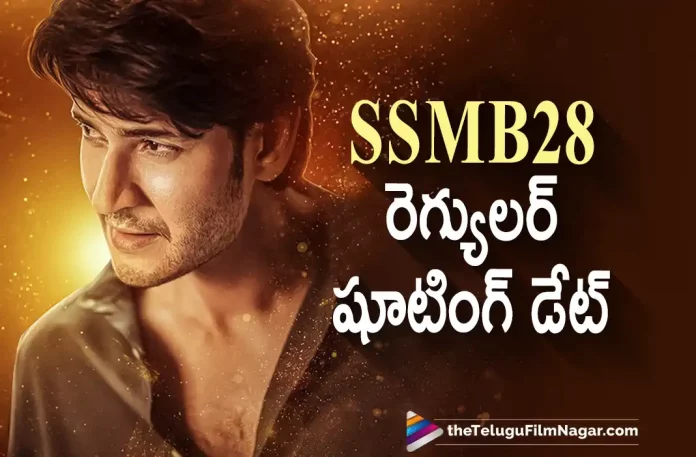SSMB28 Regular Shoot Update, #SSMB28, SSMB 28 Update, SSMB 28 Shooting To Begin, Mahesh Babu And Trivikram Srinivas's Film, SSMB28 Latest Update, SSMB28 Regular Shoot Starts, Mahesh Babu's SSMB 28, SSMB 28 Telugu Movie, SSMB 28 Movie Regular Shoot Update, Mahesh Babu Latest Movie, Mahesh Babu Upcoming Movie, Trivikram Srinivas, Mahesh Babu, Telugu Filmnagar, Telugu Film News 2022, Tollywood Latest, Tollywood Movie Updates, Latest Telugu Movies News,