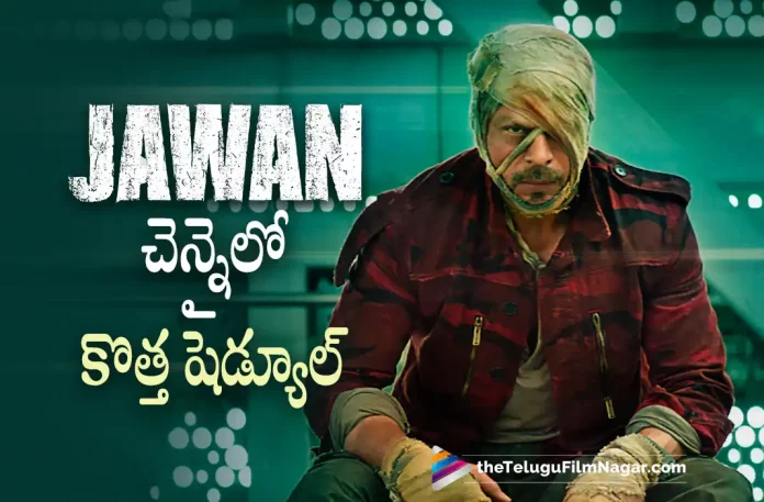 Shah Rukh Khan Jawaan Movie Latest Schedule To Happen In Chennai,Telugu Filmnagar,Latest Telugu Movies News,Telugu Film News 2022,Tollywood Latest,Tollywood Movie Updates,Tollywood Upcoming Movies, Jawaan, Jawaan Hindi Movie, Jawaan Movie Latest Updates, Jawaan Movie Latest Schedule in Chennai, Jawaan Movie Shooting Schedule at Chennai, Shah Rukh Khan,Bollywood Badshah,Bollywood Badshah Shah Rukh Khan,Shah Rukh Upcoing Movies,Shah Rukh Khan New Movie Updates,Shah Rukh Khan latest Movie Updates,Shah Rukh Khan Jawaan Movie Latest Updates