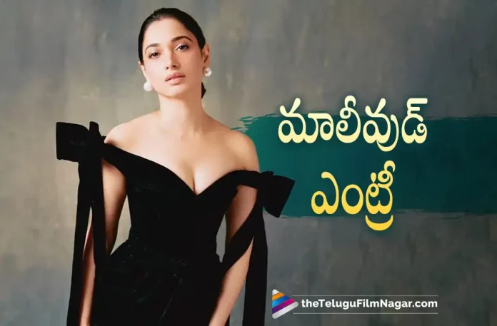 Tamannaah To Enter Mollywood Soon,Telugu Filmnagar,Telugu Film News 2022,Telugu Filmnagar,Tollywood Latest,Tollywood Movie Updates,Latest Telugu Movies News,Tamanna Bhatia,Actress Tamanna Bhatia,Milky Beauty Tamanna Bhatia,Tamanna,Tamanna Malayalam,Tamanna Entery in Mollywood, Tamanna To Act in Mollywood,Tamannaah Enter Into Mollywood Soon