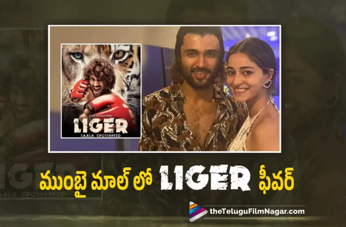 Vijay Deverakonda Liger Fever In Mumbai, Ananya Panday, Ananya Panday Latest Movie, Ananya Panday Movies, Ananya Panday New Movie, Karan Johar, latest telugu movies news, latest tollywood updates, Liger, Liger Movie, Liger Movie Latest News, Liger Movie News, Liger Movie Promotions, Liger Movie Team Mumbai Street Dance, Liger Movie Team Vijay Deverakonda And Ananya Panday Mumbai Street Dance – Watch Here, Liger Movie Update, Liger Movie Updates, Liger Promotions, Liger promotions in Mumbai, Liger Team in the streets of Mumbai, Liger Team Mumbai Street Dance, Liger Team Mumbai Street Dance Video, Liger Telugu Movie, Liger Telugu Movie Latest News, Liger Update, Liger Updates, Puri Jagannadh, Telugu Film News 2022, Telugu Filmnagar, Tollywood Movie Updates, Vijay Deverakonda, Vijay Deverakonda And Ananya Panday, Vijay Deverakonda And Ananya Panday Dance, Vijay Deverakonda And Ananya Panday Dance Video, Vijay Deverakonda And Ananya Panday Liger, Vijay Deverakonda And Ananya Panday Movie, Vijay Deverakonda And Ananya Panday Mumbai Street Dance, Vijay Deverakonda And Ananya Panday Street Dance, Vijay Deverakonda Latest Film Updates, Vijay Deverakonda Latest Movie, Vijay Deverakonda Latest Movie Update, Vijay Deverakonda Latest News, Vijay Deverakonda Latest Project, Vijay Deverakonda Movies, Vijay Deverakonda New Movie, Vijay Deverakonda New Movie Update, Vijay Deverakonda New Project, Vijay Deverakonda Next Project, Vijay Deverakonda Upcoming Movie, Vijay Deverakonda Upcoming Project, Waat Laga Denge