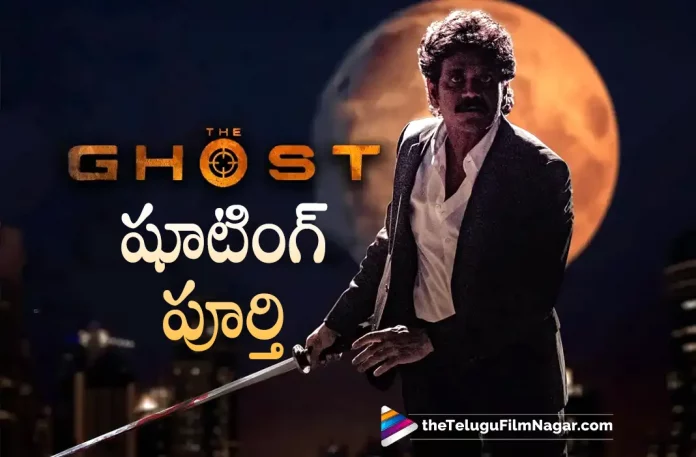 Nagarjuna The Ghost Movie Wraps Up Shooting,The Ghost Movie Production Update: Nagarjuna’s Upcoming Action Movie Wraps Up Shooting,Telugu Filmnagar,Latest Telugu Movies News,Telugu Film News 2022,Tollywood Movie Updates,Tollywood Latest News, The Ghost,The Ghost Movie,The Ghost Telugu Movie,The Ghost Movie Updates,The Ghost Shooting Updates,Akkineni Nagarjuna,king nagarjuna,Nagarjuna The Gohst Movie Wraps up Shooting, The Ghost Movie Wraps up Shooting,Nagarjuna Upcoming Movie The Ghost Wraps Up Shooting,The Ghost ovie Shooting Final Update,Nagarjuna Upcoming Movies,Nagarjuna New Movie Updates, Nagarjuna latest Movie Updates,Nagarjuna Action Movie The Ghost Wraps Up Shooting,The Ghost Nagarjuna latest Movie Wraps Up Shooting