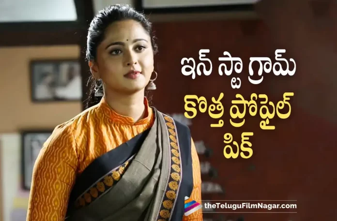 Anushka's new profile picture becomes talk of the town, Anushka's new Instagram profile picture, Anushka's new Instagram profile picture becomes talk of the town, new Instagram profile picture, Anushka's new profile picture, Instagram profile picture, Anushka Shetty, Anushka's Latest Movie, Anushka's Upcoming Movie, Anushka's Latest Photos, Anushka's New Pics, Anushka's Latest Instagram Photos, Anushka Shetty Upcoming Movies, Actress Anushka Shetty, Telugu Filmnagar, Tollywood Latest, Telugu Film News 2022, Tollywood Movie Updates, Latest Telugu Movies News