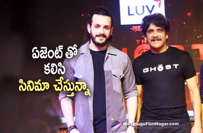 Nagarjuna About Acting With Akhil,Telugu Filmnagar,Tollywood Latest,Tollywood Movie Updates,Tollywood Upcoming Movies,Telugu Film News 2022,Nagarjuna,Akkineni Nagarjuna,Nagarjuna latest Updates,Nagarjuna Upcoming Movies,Nagarjuna New Movie Updates,Nagarjuna Latest News,Nagarjuna Upcoming Movie The Ghost,Nagarjuna The Ghost Movie Updates,Nagarjuna THe Ghost Movie Pre Release Event,Nagarjuna About Acting With Nikhil in Upcoming Movie,Nagarjuna and Nikhil To act in Upcoming Movie Say Nagarjuna,The Ghost Pre Release Event,The Ghost to Release on october 5th,Nagarjuna Movie Releasing on 5th October