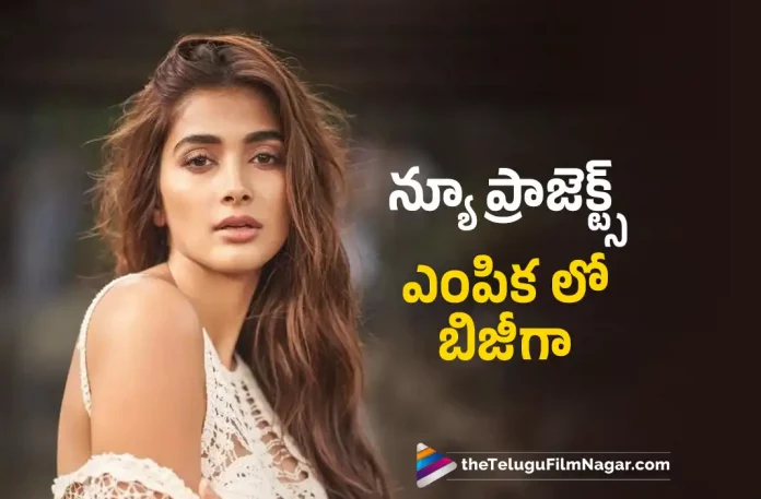 Pooja Hegde Is Busy With Selecting New Project,Telugu Filmnagar,Tollywood Latest,Tollywood Movie Updates,Tollywood Upcoming Movies,Telugu Film News 2022,Pooja Hegde,Actress Pooja Hegde,Pooja Hegde Latest Updates,Pooja Hegde Upcoming Movies,Pooja Hegde New Movie Updates,Pooja Hegde latest News,Pooja Hegde New Project Updates,Pooja Hegde Busy in Selecting Upcoming Projects,Pooja Hegde Latest Projects Updates,Pooja Hegde New Movies,Pooja Hegde Project K Movie Updates,Pooja Hegde in Project K Movie Latest Updates,Pooja Hegde Upcoming Projects