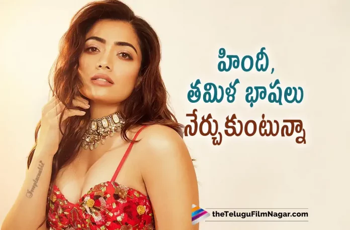 Rashmika Learning Tamil & Hindi Languages,Telugu Filmnagar,Tollywood Latest,Tollywood Movie Updates,Tollywood Upcoming Movies,Telugu Film News 2022,Rashmika Mandanna,Actress Rashmika Mandanna,Rashmika Mandanna Latest Updates,Rashmika Mandanna New Movie Updates,Rashmika Mandanna Latest Updates,Rashmika Mandanna About Her Movies,Rashmika Mandanna Learning New Languages,Rashmika Learning Tamil,Rashmika Learning Hindi Language, Rashmika Learning Two Languages For Upcoming Movies,Rashmika Learning Languages For Upcoming Movies