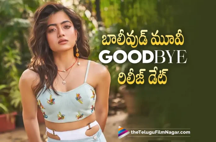 Rashmika Mandanna Bollywood Movie Good Bye Release Date Locked,Goodbye – Rashmika Mandanna And Amitabh Bachchan’s Upcoming Movie Release Date Announced,Telugu Filmnagar,Telugu Film News 2022,Tollywood Latest,Tollywood Movie Updates,Latest Telugu Movies News,Goodbye,Goodbye Movie,Goodbye Bollywood Movie,Goodbye Movie latest Updates,Goodbye Movie Latest News,Goodbye Amitabh Bachchan and Rashmika Mandanna Movie Release Date Announced,Goodbye Release Date Announced,Goodbye Release date Fixed,Rashmika Mandanna,Actress Rashmika Mandanna upcoming Movie Goodbye Release Date Announced,Goodbye is written and directed by Vikas Bahl