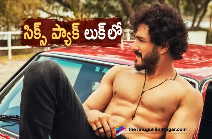 Akhil Akkineni's Six Pack Look Goes Viral, Akhil's Six Pack Look Goes Viral, Akhil Akkineni's Six Pack Look, Mammootty, Akhil Akkineni, Sakshi Vaidya, Surender Reddy, Akhil latest movie, Akhil's Upcoming Movie, Agent, Agent Movie, Agent Update, Agent New Update, Agent Latest Update, Agent Movie Updates, Agent Telugu Movie, Agent Telugu Movie Latest News, Agent Telugu Movie Live Updates, Agent Telugu Movie New Update, Agent Movie Latest News And Updates, Telugu Film News 2022, Telugu Filmnagar, Tollywood Latest, Tollywood Movie Updates, Tollywood Upcoming Movies