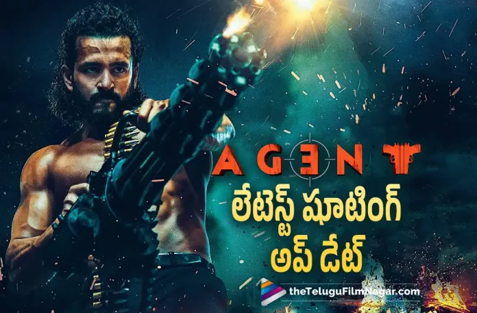 Akhils Agent Movie Shooting Latest update, Agent Movie Shooting Latest update, Akhils Agent Movie, Akhil Latest Movie, Akhil Upcoming Movie, Akhil Akkineni, Mammootty, Sakshi Vaidya, Surender Reddy, Agent, Agent Telugu movie, Agent New Update, Agent Telugu Movie New Update, Agent Movie, Agent Latest Update, Agent Movie Updates, Agent Telugu Movie Live Updates, Agent Telugu Movie Latest News, Agent Movie Latest News And Updates, Telugu Film News 2022, Telugu Filmnagar, Tollywood Latest, Tollywood Movie Updates, Tollywood Upcoming Movies