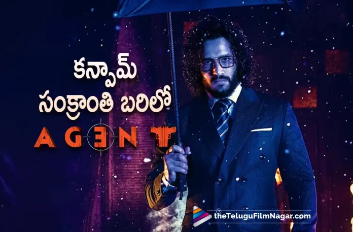 Akhils Agent movie joins Sankranthi 2023 release race, Sankranthi 2023 release race, Akhils Agent movie, Akhils Agent Telugu movie, Agent Telugu movie, Mammootty, Akhil Akkineni, Mammootty, Sakshi Vaidya, Surender Reddy, Hiphop Tamizha, Akhil Latest Movie, Akhil's Upcoming Movie, Agent, Agent Telugu movie, Agent New Update, Agent Telugu Movie New Update, Agent Movie, Agent Latest Update, Agent Movie Updates, Agent Telugu Movie Live Updates, Agent Telugu Movie Latest News, Agent Movie Latest News And Updates, Telugu Film News 2022, Telugu Filmnagar, Tollywood Latest, Tollywood Movie Updates, Tollywood Upcoming Movies