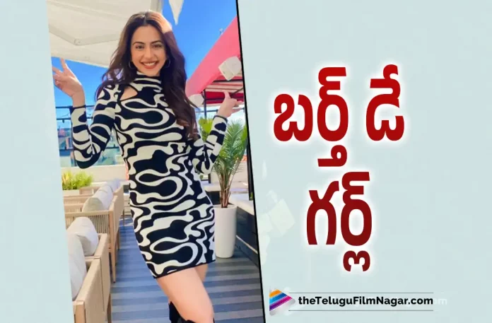 Gorgeous Rakul Preet Birthday Celebrations, Rakul Preet Birthday Celebrations, Rakul Preet Birthday, Rakul Preet Singh Birthday Celebrations, Birthday Celebrations, Actress Rakul Preet Singh, Rakul Preet Singh Latest Movie, Rakul Preet Singh's Upcoming Movie, Rakul Preet Movies, Telugu Film News 2022, Telugu Filmnagar, Tollywood Latest, Tollywood Movie Updates, Tollywood Upcoming Movies