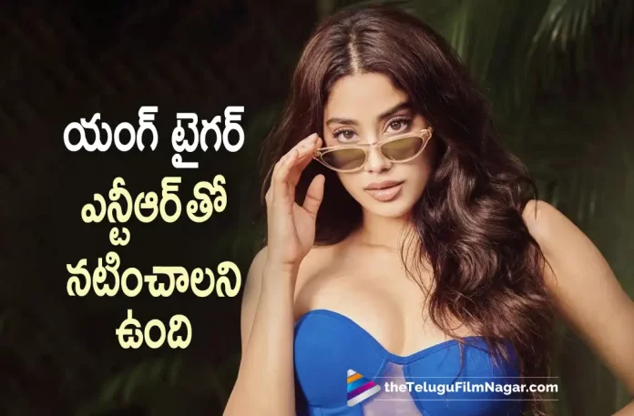 Janhvi Kapoor wants to act with Young Tiger Jr NTR, Young Tiger Jr NTR, Actress Janhvi Kapoor, Janhvi Kapoor, Sunny Kaushal, Mathukutty Xavier, Janhvi Kapoor Latest Movie, Janhvi Kapoor's Upcoming Movie, Mili, Mili Hindi movie, Mili New Update, Mili Hindi Movie New Update, Mili Movie, Mili Latest Update, Mili Movie Updates, Mili Hindi Movie Live Updates, Mili Hindi Movie Latest News, Mili Movie Latest News And Updates, Telugu Film News 2022, Telugu Filmnagar, Tollywood Latest, Tollywood Movie Updates, Tollywood Upcoming Movies