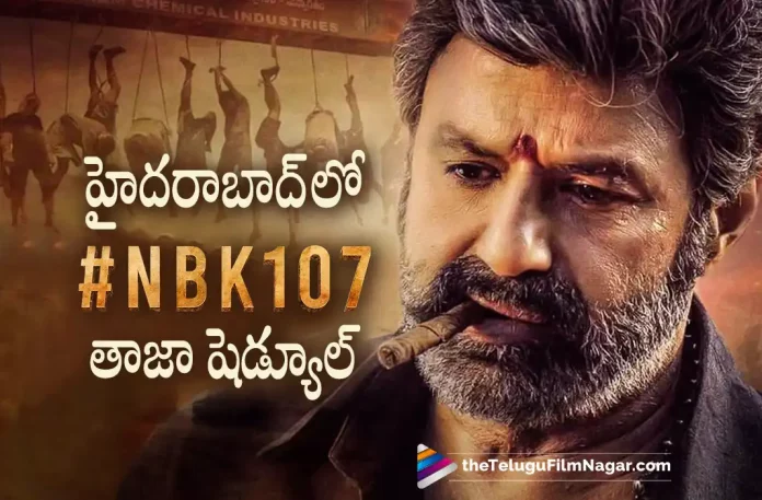 #NBK107 movie shoot latest update, NBK107 movie shoot, Nandamuri Balakrishna, Shruti Hassan, Varalaxmi Sarathkumar, Gopichand Malineni, Balakrishna Latest Movie, Balakrishna's Upcoming Movie, NBK107, NBK107 Telugu movie, NBK107 New Update, NBK107 Telugu Movie New Update, NBK107 Movie, NBK107 Latest Update, NBK107 Movie Updates, NBK107 Telugu Movie Live Updates, NBK107 Telugu Movie Latest News, NBK107 Movie Latest News And Updates, Telugu Film News 2022, Telugu Filmnagar, Tollywood Latest, Tollywood Movie Updates, Tollywood Upcoming Movies
