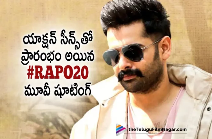#RAPO20 Movie Latest Update, #RAPO20, #RAPO20 Movie, Actor Ram Pothineni, Director Boyapati Srinu, Actress Sreeleela, Ram Pothineni Latest Movie, Ram Pothineni's Upcoming Movie, RAPO 20, RAPO 20 Telugu movie, RAPO 20 New Update, RAPO 20 Telugu Movie New Update, RAPO 20 Movie, RAPO 20 Latest Update, RAPO 20 Movie Updates, RAPO 20 Telugu Movie Live Updates, RAPO 20 Telugu Movie Latest News, RAPO 20 Movie Latest News And Updates, Telugu Film News 2022, Telugu Filmnagar, Tollywood Latest, Tollywood Movie Updates, Tollywood Upcoming Movies