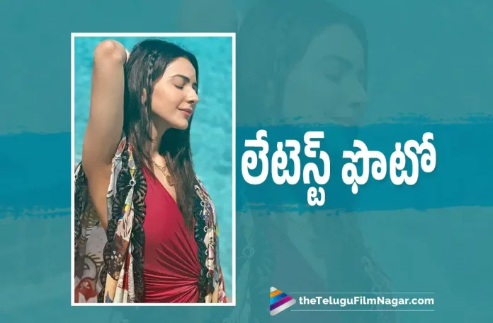 Rakul Preet Singh Latest Photoshoot Rakul Preet Singh Latest Photoshoot, Actress Rakul Preet Singh Latest Photoshoot, Rakul Preet Singh Latest Photos, Actress Rakul Preet Singh, Rakul Preet Singh Latest Movie, Rakul Preet Singh's Upcoming Movie, Indian 2, Ladies Night, Ladies Night Movie, Ladies Night Update, Ladies Night New Update, Ladies Night Latest Update, Ladies Night Movie Updates, Ladies Night Telugu Movie, Ladies Night Telugu Movie Latest News, Ladies Night Telugu Movie Live Updates, Ladies Night Telugu Movie New Update, Ladies Night Movie Latest News And Updates, Telugu Film News 2022, Telugu Filmnagar, Tollywood Latest, Tollywood Movie Updates, Tollywood Upcoming Movies