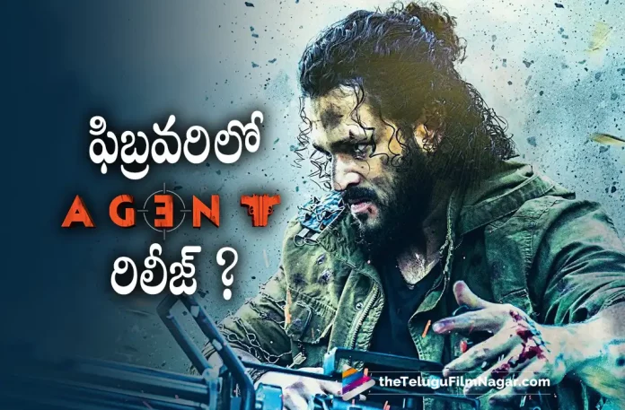 Agent Movie To Be Released In February?, Agent To Be Released In February, Mammootty, Akhil Akkineni, Sakshi Vaidya, Surender Reddy, Akhil Akkineni Latest Movie, Akhil Akkineni's Upcoming Movie, Agent, Agent 2023, Agent Movie, Agent Update, Agent New Update, Agent Latest Update, Agent Movie Updates, Agent Telugu Movie, Agent Telugu Movie Latest News, Agent Telugu Movie Live Updates, Agent Telugu Movie New Update, Agent Movie Latest News And Updates, Telugu Film News 2022, Telugu Filmnagar, Tollywood Latest, Tollywood Movie Updates, Tollywood Upcoming Movies