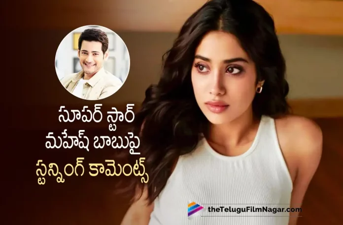 Jhanvi Kapoor Interesting Comments on Mahesh Babu Jhanvi Kapoor Interesting Comments on Mahesh Babu, Jhanvi Kapoor Comments on Mahesh Babu, Comments on Mahesh Babu, Jhanvi Kapoor Interesting Comments, SuperStar Mahesh Babu, Mahesh Babu, Jhanvi Kapoor, Actress Jhanvi Kapoor, Actor Mahesh Babu, Mahesh Babu Latest Movie, Mahesh Babu's Upcoming Movie, Mili, Mili 2022, Mili Movie, Mili Update, Mili Latest News, Mili Latest Update, Mili Live Updates, Mili Latest News And Updates, Mili Updates, Latest Telugu Movies News, Telugu Film News 2022, Tollywood Movie Updates, Latest Tollywood Updates, Telugu Filmnagar
