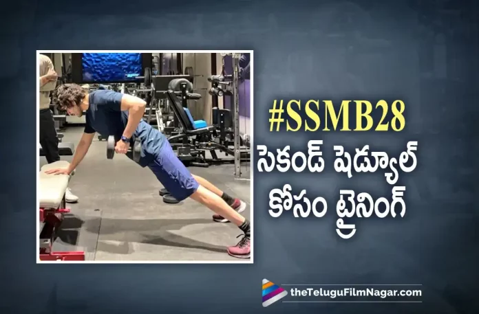 Mahesh Babu starts training for SSMB28 2nd schedule Mahesh Babu starts training for SSMB28 2nd schedule, Mahesh Babu training for SSMB28 2nd schedule, SSMB28 2nd schedule, Mahesh Babu training, Super Star Mahesh Babu, Mahesh Babu, Samyuktha Menon, Pooja Hegde, Trivikram Srinivas, Mahesh Babu Latest Movie, Mahesh Babu's Upcoming Movie, SSMB28, SSMB28 2023, SSMB28 Movie, SSMB28 Update, SSMB28 New Update, SSMB28 Latest Update, SSMB28 Movie Updates, SSMB28 Telugu Movie, SSMB28 Telugu Movie Latest News, SSMB28 Telugu Movie Live Updates, SSMB28 Telugu Movie New Update, SSMB28 Movie Latest News And Updates, Telugu Film News 2022, Telugu Filmnagar, Tollywood Latest, Tollywood Movie Updates, Tollywood Upcoming Movies