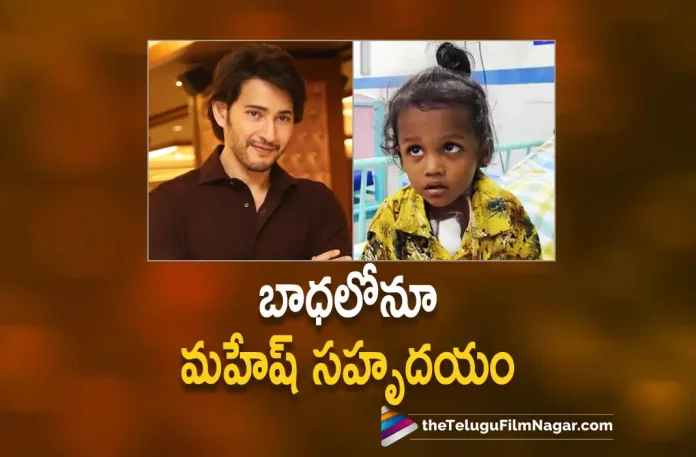 Mahesh Babu's Kind Gesture Revealed Once Again, Mahesh Babu's Kind Gesture Revealed, Super Star Mahesh Babu, Mahesh Babu, Samyuktha Menon, Pooja Hegde, Trivikram Srinivas, Mahesh Babu Latest Movie, Mahesh Babu's Upcoming Movie, SSMB28, SSMB28 2023, SSMB28 Movie, SSMB28 Update, SSMB28 New Update, SSMB28 Latest Update, SSMB28 Movie Updates, SSMB28 Telugu Movie, SSMB28 Telugu Movie Latest News, SSMB28 Telugu Movie Live Updates, SSMB28 Telugu Movie New Update, SSMB28 Movie Latest News And Updates, Telugu Film News 2022, Telugu Filmnagar, Tollywood Latest, Tollywood Movie Updates, Tollywood Upcoming Movies