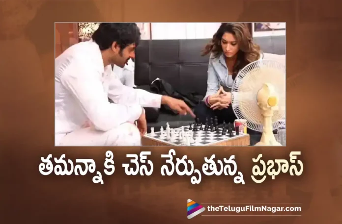 Rare video of Prabhas & Tamannaah Goes Viral, Prabhas & Tamannaah Rare video, Tamannaah Rare video, Prabhas Rare video Goes Viral, Rare video of Prabhas & Tamannaah, Adipurush, Adipurush Movie, Adipurush Update, Adipurush New Update, Adipurush Latest Update, Adipurush Movie Updates, Adipurush Telugu Movie, Adipurush Telugu Movie Latest News, Adipurush Telugu Movie Live Updates, Adipurush Telugu Movie New Update, Adipurush Movie Latest News And Updates, Telugu Film News 2022, Telugu Filmnagar, Tollywood Latest, Tollywood Movie Updates, Tollywood Upcoming Movies