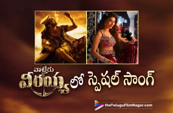 Urvasi Rautela Special song in Waltair Veerayya, Urvashi Rautela Joins Mega154 For A Special Song, Waltair Veerayya Songs Update, Mega154 Special Song, Urvashi Rautela, Mega Star Chiranjeevi, Mass Maharaja Ravi Teja, Chiranjeevi, Ravi Teja, Ravindra Bobby, Shruti Haasan, Urvashi Rautela, Chiranjeevi Latest Movie, Chiranjeevi's Upcoming Movie, Sankranti 2023, Waltair Veerayya, Waltair Veerayya 2023, Waltair Veerayya Movie, Waltair Veerayya Update, Waltair Veerayya New Update, Waltair Veerayya Latest Update, Waltair Veerayya Movie Updates, Waltair Veerayya Telugu Movie, Waltair Veerayya Telugu Movie Latest News, Waltair Veerayya Telugu Movie Live Updates, Waltair Veerayya Telugu Movie New Update, Waltair Veerayya Movie Latest News And Updates, Telugu Film News 2022, Telugu Filmnagar, Tollywood Latest, Tollywood Movie Updates, Tollywood Upcoming Movies