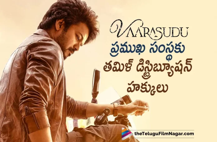Varisu Tamil Nadu Distribution Rights Bagged By Noted Producer,Telugu Filmnagar,Tollywood Latest,Telugu Film News 2022,Tollywood Movie Updates,Tollywood Upcoming Movies,Tollywood Movies in 2022,Varisu,Varisu Movie,Varisu Telugu Movie,Varisu Movie Updates,Varisu Latest Updates,Varisu Upcoming Movies,Varisu New Movie Updates,Varisu Upcoming Movie Updates,Varisu Movie Rights Bagged By Tamil Nadu Noted Producer,Tamil Nadu Noted Producer Bagged Varisu Movie Rights,Actor Vijay,Tamil Super Star Hero Hero Vijay,Vijay Upcoming Movie,Varisu Vijay Upcoming Movie,Varisu Movie Tamil Nadu Distribution Rights Bagged By Noted Producer