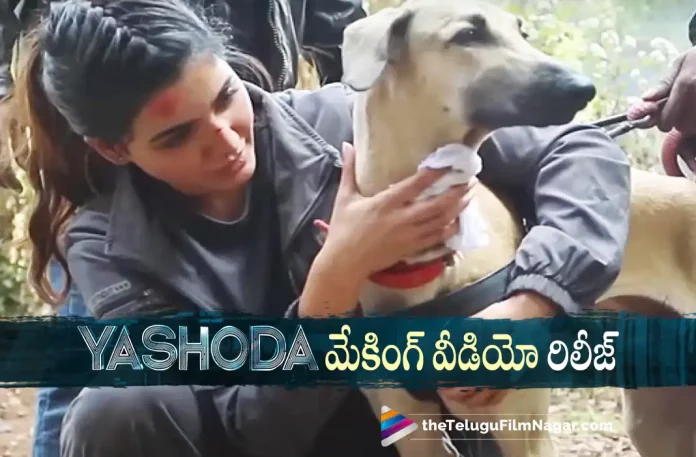 Yashoda movie making video released, Samantha's Yashoda, Samantha Latest Movie, Samantha's Upcoming Movie, Samantha, Unni Mukundan, Varalaxmi Sarathkumar, Hareesh Narayan, K Hari Shankar, Yashoda, Yashoda Movie, Yashoda Update, Yashoda Movie Update, Yashoda Movie New Update, Yashoda Movie Latest Update, Yashoda Movie Updates, Yashoda Telugu Movie, Yashoda Telugu Movie Latest News, Yashoda Telugu Movie Live Updates, Yashoda Telugu Movie New Update, Yashoda Movie Latest News And Updates, Telugu Film News 2022, Telugu Filmnagar, Tollywood Latest, Tollywood Movie Updates, Tollywood Upcoming Movies