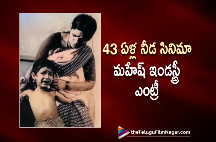 Needa Movie Completes 43 Years In TFI,Telugu Filmnagar,Latest Telugu Movies News,Telugu Film News 2022,Tollywood Movie Updates,Latest Tollywood Updates,Needa Movie Completes 43 Years,Needa Completes 43 Years In TFI,43 Years For Needa Movie,43 Years For Needa,43 Years For Needa Movie,Mahesh Babu's Debut Film Completes 43 Years Of Release,Mahesh Babu's First Film As Child Actor,Mahesh Babu's Telugu Film Industry Entry Was With The Movie Needa 43 Years,43 Years For Mahesh Babu Needa Movie,43 Years For Mahesh Babu Needa,Mahesh Babu Needa,Mahesh Babu Needa Movie,Needa,Needa Movie,Needa Telugu Movie,Needa Movie Updates,Mahesh Babu,Superstar Mahesh Babu,Mahesh Babu New Movie,Mahesh Babu Latest Movie,Mahesh Babu Latest News