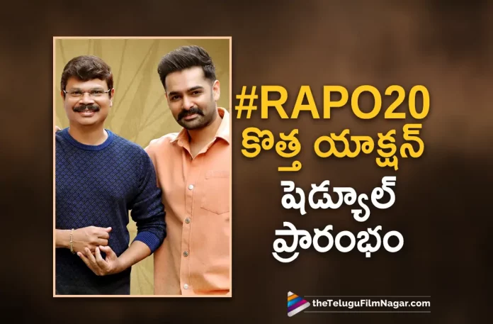 rapo 20 movie new action schedule update, Ram Pothineni And Boyapati Srinu’s Film In A Major Action Schedule, RAPO20 Film In A Major Action Schedule, Ram Pothineni And Boyapati Srinu’s Film, Ram Pothineni’s RAPO20, Boyapati Srinu, Ram Pothineni, Ram Pothineni Latest Movie, Ram Pothineni's Upcoming Movie, RAPO20, RAPO20 Movie, RAPO20 Update, RAPO20 New Update, RAPO20 Latest Update, RAPO20 Movie Updates, RAPO20 Telugu Movie, RAPO20 Telugu Movie Latest News, RAPO20 Telugu Movie Live Updates, RAPO20 Telugu Movie New Update, RAPO20 Movie Latest News And Updates, Telugu Film News 2022, Telugu Filmnagar, Tollywood Latest, Tollywood Movie Updates, Tollywood Upcoming Movies
