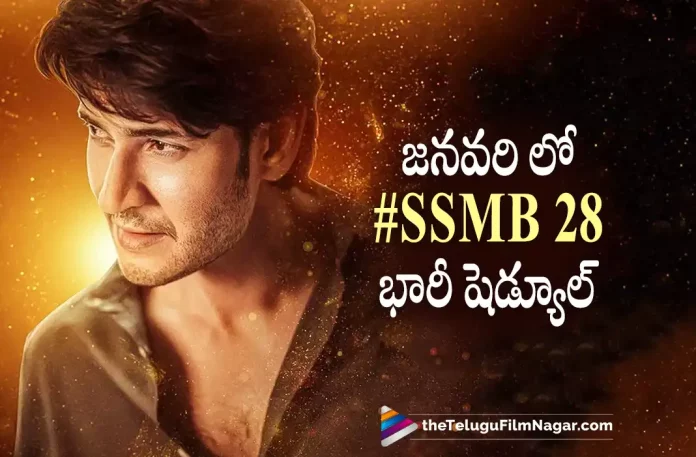 #SSM28 Movie latest update, SSM28 Movie latest update, #SSM28 Movie, Trivikram Srinivas, Pooja Hegde, Mahesh Babu, Samyuktha Menon, Mahesh Babu Movies, Mahesh Babu Latest Movie, Mahesh Babu Upcoming Movie, SSM28, SSM28 2023, SSM28 Latest News, SSM28 Latest News And Updates, SSM28 Live Updates, SSM28 Movie, SSM28 Movie Latest Update, SSM28 Movie Update, SSM28 Telugu movie,Latest Telugu Movies News, Latest Tollywood Updates,Telugu Film News 2022, Telugu Filmnagar, Tollywood Movie Updates