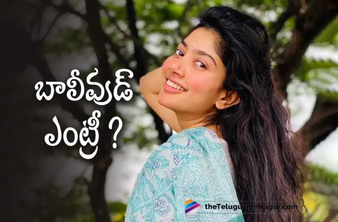 Sai Pallavi To Debut In Bollywood?, Sai Pallavi Bollywood Debut, Bollywood Debut, Actress Sai Pallavi, Sai Pallavi, Sai Pallavi Latest Movie, Sai Pallavi Upcoming Movie, Sai Pallavi Movies, Ranbir Kapoor, Hrithik Roshan, Nitesh Tiwari, Telugu Filmnagar, Telugu Film News 2022, Tollywood Movie Updates, Latest Tollywood Updates, Latest Telugu Movies News