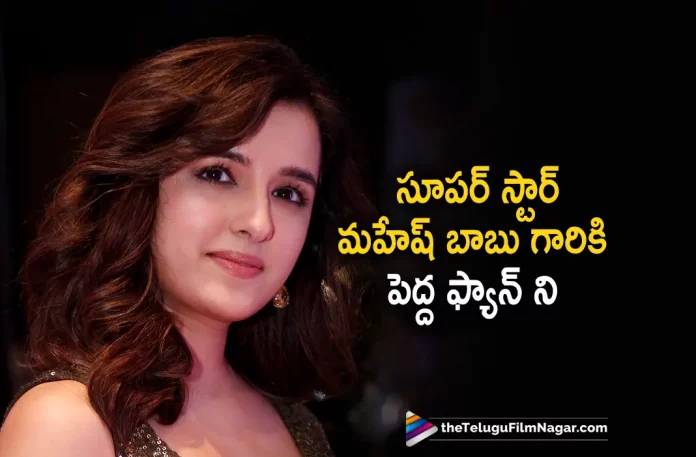 This Gorgeous Heroine Is A Big Fan Of Superstar Mahesh Babu, Gorgeous Heroine Is A Big Fan Of Superstar Mahesh Babu, Superstar Mahesh Babu, Gorgeous Heroine, Shirley Setia, #SSMB28, Mahesh Babu, Samyuktha Menon, Pooja Hegde, S. Thaman, Trivikram Srinivas, Mahesh Babu Latest Movie, Mahesh Babu Upcoming Movie, Mahesh Babu Movies, SSMB28, SSMB28 2023, SSMB28 Movie, SSMB28 Telugu Movie, SSMB28 Update, SSMB28 News, SSMB28 Latest News, SSMB28 New Update, SSMB28 Movie Live Updates, SSMB28 Movie Latest News And Updates, Telugu Filmnagar, Telugu Film News 2022, Tollywood Movie Updates, Latest Tollywood Updates, Latest Telugu Movies News