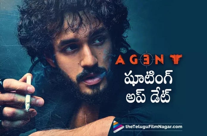 Akhil Agent Movie Shooting New Schedule Update, Agent Movie Shooting New Schedule Update, Agent New Schedule Update, Akhil Agent Movie Shooting, Agent Movie Shooting, Mammootty, Akhil Akkineni, Sakshi Vaidya, Surender Reddy, Akhil Akkineni Movies, Akhil Akkineni Latest Movie, Akhil Akkineni Upcoming Movie, Agent, Agent 2023, Agent Movie, Agent Update, Agent Latest News, Agent Telugu Movie, Agent Movie Live Updates, Agent Movie Latest News And Updates, Telugu Filmnagar, Telugu Film News 2022, Tollywood Movie Updates, Latest Tollywood Updates, Latest Telugu Movies News