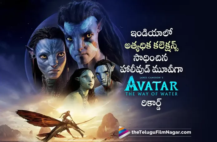 Avatar 2 Becomes Highest Grossing Hollywood Movie In India,Telugu Filmnagar,Latest Telugu Movies News,Telugu Film News 2023,Tollywood Movie Updates,Latest Tollywood News,Avatar 2,Avatar 2 Movie,Avatar 2 Movie Updates,Avatar 2 Movie Latest News,Avatar 2 Collections,Avatar 2 Movie Latest Collections,Avatar 2 Areawise Collections,Avatar 2 Worldwide Collections