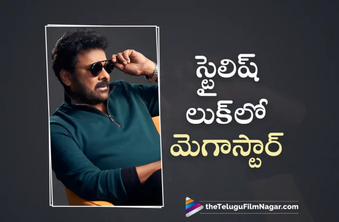Chiranjeevi Latest Photo Shoot,Telugu Filmnagar,Latest Telugu Movie News,Telugu Film News 2023,Tollywood Movie Updates,Latest Teollywood News,Chiranjeevi,Chiranjeevi Latest News,Chiranjeevi News,Chiranjeevi Latest Images,Chiranjeevi New Photos,Chiranjeevi Photos,Chiranjeevi Latest Photo Gallery