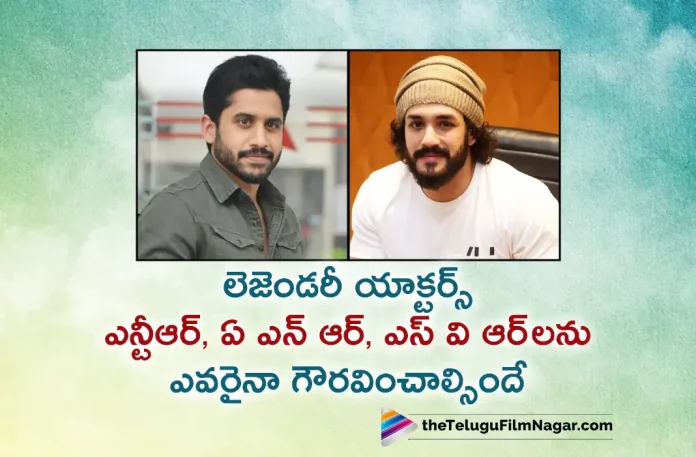 Naga Chaitanya and Akhil Akkineni Counter to Balakrishna,Telugu Filmnagar,Latest Telugu Movies News,Telugu Film News 2023,Tollywood Movie Updates,Latest Tollywood News,Naga Chaitanya and Akhil Akkineni Comments On Balakrishna,Naga Chaitanya and Akhil Akkineni About Balakrishna Words,Naga Chaitanya and Akhil Akkineni Storng Counter to Balakrishna