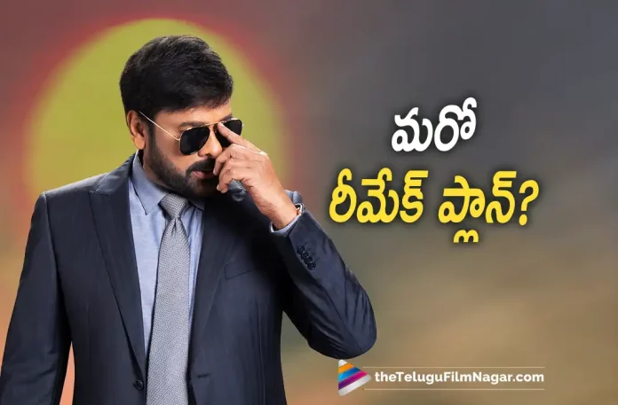 megastar Chiranjeevi planning another remake Megastar Chiranjeevi Planning Another Remake, Chiranjeevi Planning Another Remake, Bholaa Shankar, Meher Ramesh, Tamannaah, Keerthy Suresh, Chiranjeevi, Megastar Chiranjeevi, Chiranjeevi, Chiranjeevi Movies, Chiranjeevi Latest Movie, Chiranjeevi Upcoming Movie, Waltair Veerayya, Waltair Veerayya 2023, Waltair Veerayya Movie, Waltair Veerayya Update, Waltair Veerayya Latest News, Waltair Veerayya Telugu Movie, Waltair Veerayya Movie Live Updates, Waltair Veerayya Movie Latest News And Updates, Telugu Filmnagar, Telugu Film News 2023, Tollywood Movie Updates, Latest Tollywood Updates, Latest Telugu Movies News