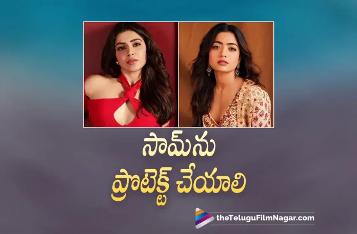 Rashmika Mandanna Interesting Comments On Samantha,Telugu Filmnagar,Latest Telugu Movies News,Telugu Film News 2023,Tollywood Movie Updates,Latest Tollywood Updates,Rashmika Mandanna,Rashmika Mandanna Movies,Rashmika Mandanna New Movie,Rashmika Mandanna Latest Movie,Rashmika Mandanna Upcoming Movie,Rashmika Mandanna New Movie Update,Rashmika Mandanna Latest Movie Update,Heroine Rashmika Mandanna,Actress Rashmika Mandanna,Rashmika Mandanna Latest News,Rashmika Mandanna Latest Film Update,Rashmika Mandanna Latest News,Samantha,Samantha Movies,Samantha New Movie,Samantha Latest Movie,Samantha Upcoming Movie,Samantha New Movie Update,Samantha Latest Movie Update,Heroine Samantha,Actress Samantha,Samantha Latest News,Samantha Latest Film Update,Samantha Latest News,Rashmika Mandanna Comments On Samantha,Rashmika Mandanna On Samantha,Rashmika Mandanna About Samantha,Rashmika Mandanna Talk About Samantha