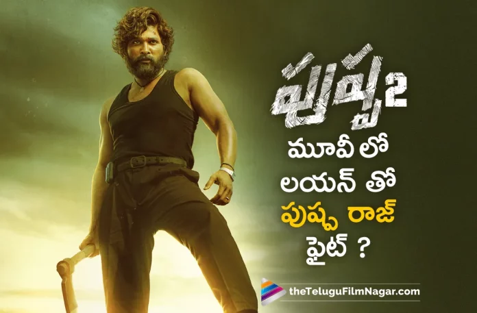 Allu Arjun Pushpa 2 Movie Team Plans Intense Fight Sequence With Real Lion.Telugu Filmnagar,Telugu Movie News 2023,Telugu Film News,Tollywood Movie Updates,Latest Tollywood News,Pushpa 2 Upcoming Movie Updates,Allu Arjun Latest Movie Updates,Pushpa 2 Movie Updates,Pushpa 2 Movie Latest Movie News,Pushpa 2 New Moviepushpa 2 Upcoming,Pushpa 2 Movie,Ala Pushpa 2 Next Movie Update,Pushpa 2 Latest Projects With Real Lion, Pushpa 2 Upcoming Projects,Pushpa 2 New Projects,Pushpa 2 Latest News, Pushpa 2Movie Updates, Pushpa 2 Movie News,Pushpa 2 Flim Updates
