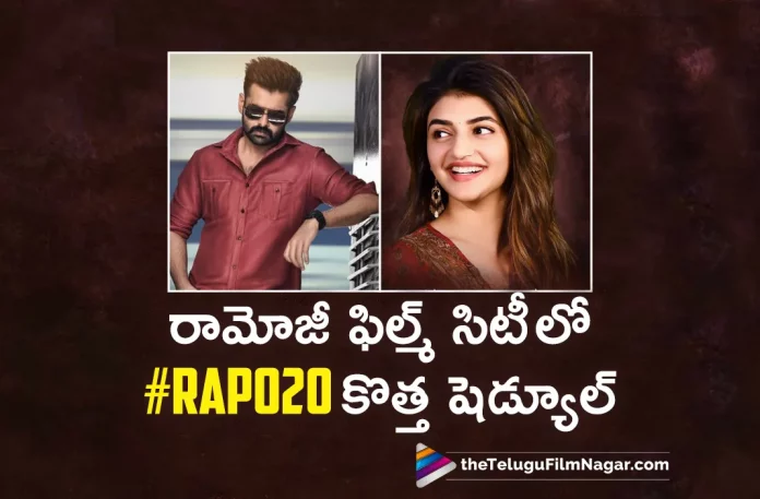 RAPO 20 Movie Latest Shooting Updates,Telugu Filmnagar,Telugu Movie News 2023,Telugu Film News,Tollywood Movie Updates,Latest Tollywood News,Ram Pothineni RAPO20 Movie,Ram Pothineni RAPO20,RAPO20,RAPO20 Movie,RAPO20 Telugu Movie,RAPO20 Songs,RAPO20 Movie Songs,RAPO20 Telugu Movie Songs,RAPO20 Updates,RAPO20 Movie Updates,RAPO20 Movie Latest News,RAPO20 Song Shoot,RAPO20 Movie Song Shoot,RAPO20 Movie Shooting Updates,RAPO20 Shooting Updates,RAPO20 Movie Latest Shooting Updates,RAPO20 Latest Shooting Updates,Ram Pothineni RAPO20 Movie Team,Ram Pothineni RAPO20 Movie Team Song Update,Ram Pothineni Movies,Ram Pothineni New Movie,Ram Pothineni Latest Movie,Ram Pothineni Latest News