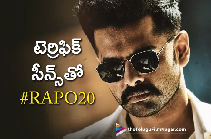 RAPO 20 Movie Latest Updates,Telugu Filmnagar,Latest Telugu Movies News,Telugu Film News 2023,Tollywood Movie Updates,Latest Tollywood Updates,RAPO20,RAPO20 Movie,RAPO20 Telugu Movie,RAPO20 Update,RAPO20 Updates,RAPO20 Movie Updates,RAPO20 Movie Update,RAPO20 Movie Latest Updates,RAPO20 Movie Latest Update,RAPO20 Latest Update,RAPO20 Latest Updates,RAPO20 Telugu Movie Latest Updates,RAPO20 Movie News,RAPO20 Telugu Movie Latest News,RAPO20 Movie Latest News,Ram Pothineni,Ram Pothineni Movies,Ram Pothineni New Movie,Ram Pothineni Latest Movie,Ram Pothineni Upcoming Movie,Ram Pothineni New Movie Updates,Ram Pothineni Latest Movie Updates,Ram Pothineni New Projects,Ram Pothineni Latest Projects,Ram Pothineni Upcoming Projects,Ram Pothineni Next Projects,Ram Pothineni RAPO20,Ram Pothineni RAPO20 Movie,RAPO20 Movie Shooting Update,RAPO20 Movie Latest Shooting Update,RAPO20 Movie Shooting Latest Update,Ram Pothineni RAPO20 Movie Shooting Update,Ram Pothineni Role In RAPO20 Movie,Ram Pothineni Character In RAPO20 Movie