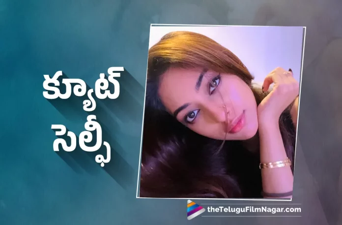 Anu Emmanuel Latest Photos,Telugu Filmnagar,Latest Telugu Movies News,Telugu Film News 2023,Tollywood Movie Updates,Latest Tollywood Updates,Anu Emmanuel,Anu Emmanuel Movies,Anu Emmanuel New Movie,Anu Emmanuel Latest Movie,Anu Emmanuel Upcoming Movie,Anu Emmanuel New Movie Updates,Anu Emmanuel Latest Movie Updates,Anu Emmanuel Movie Updates,Anu Emmanuel Movie News,Anu Emmanuel New Projects,Anu Emmanuel Latest Projects,Anu Emmanuel Upcoming Projects,Anu Emmanuel Next Projects,Anu Emmanuel Latest News,Anu Emmanuel Movie Updates,Actress Anu Emmanuel,Heroine Anu Emmanuel,Anu Emmanuel Photos,Anu Emmanuel Latest Photos,Anu Emmanuel New Photos,Anu Emmanuel Pics,Anu Emmanuel Latest Photo Gallery,Anu Emmanuel Photo Gallery,Anu Emmanuel Images,Anu Emmanuel Pictures,Anu Emmanuel New Pics,Anu Emmanuel New Look,Anu Emmanuel Latest Look,Anu Emmanuel Look,Anu Emmanuel Stills,Anu Emmanuel Latest Stills