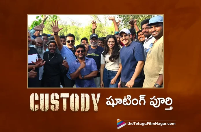 Naga Chaitanyas Custody Movie Shooting Completed,Telugu Filmnagar,Telugu Movie News 2023,Telugu Film News,Tollywood Movie Updates,Latest Tollywood News,Naga Chaitanya New Movie,Naga Chaitanya Movies,Naga Chaitanya Upcoming Movie,Naga Chaitanya Latest Movie,Naga Chaitanya Movie Updates,Naga Chaitanya Latest Movie News,Naga Chaitanya New Movie Update,Naga Chaitanya Latest Movie Update,Custody Movie,Custody,Custody Telugu Movie,Custody Movie Updates,Custody Movie Latest News,Custody Movie Shooting Completed By Naga Chaitanya,Naga Chaitanya Completed His Custody Movie,Naga Chaitanya,Naga Chaitanya Finished His Custody Movie,Custody Movie Shooting Ended By Naga Chaitanya,Custody Movie Shooting Concluded By Naga Chaitanya,Custody Movie Shooting Completed By Naga Chaitanya,Naga Chaitanyas Custody Movie Shooting Finalized,Naga Chaitanyas Custody Movie Shooting Accomplished