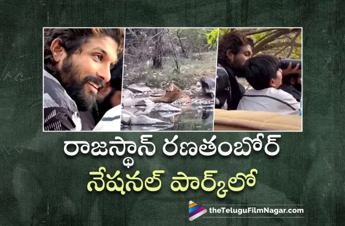 Allu Arjun Goes For Safari Trip With Family At Ranthambore National Park,Telugu Filmnagar,Telugu Movie News 2023,Telugu Film News,Tollywood Movie Updates,Latest Tollywood News,Allu Arjun New Movie,Allu Arjun Movies,Allu Arjun Upcoming Movie,Allu Arjun Latest Movie,Allu Arjun Movie Updates,Allu Arjun Latest Movie News,Allu Arjun New Movie Update,Allu Arjun Latest Movie Update,Allu Arjun Family Trip,Allu Arjun Family Tour,Allu Arjun Family Trip To Ranthambore National Park, Ranthambore National Park Trip To Allu Arjun With Family